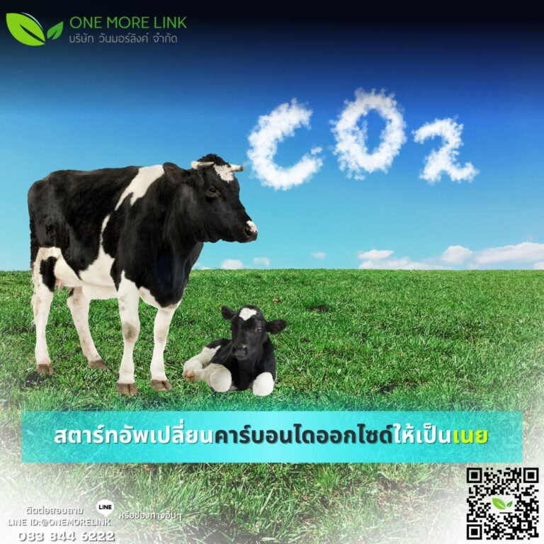 Butter Animal Startup Transforms Carbon Dioxide into Butter - One more Link